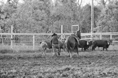 Ranch Rodeoの写真素材