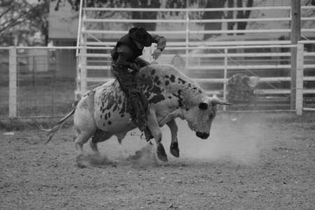 Bullriding