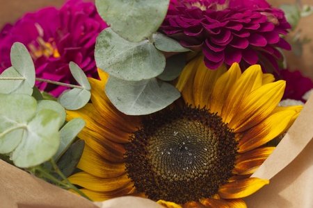 Cut flowersの写真素材