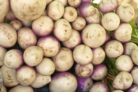 White turnipsの写真素材