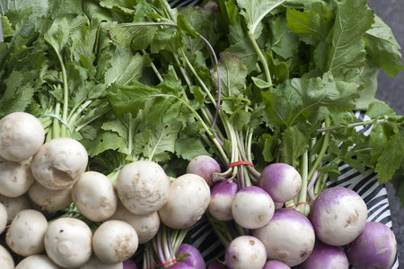 White and purple turnips