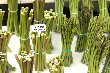 Bunches of rhubarb and asparagus の写真素材