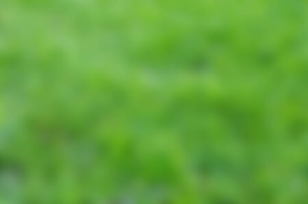 Abstract background, The Motionsの写真素材