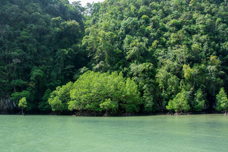 Beautiful Bay in Hong Island - Krabi Province, Thailand