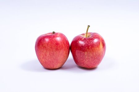 Red appleの写真素材