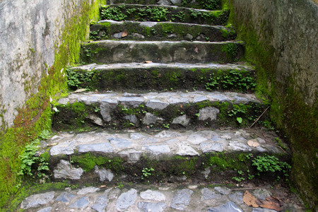wet cobbled road and a wall with mossの写真素材