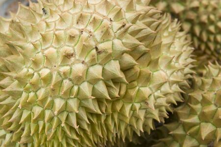 Fresh durian fruit at an outdoor market stallの写真素材