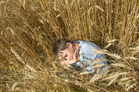 Boy in the field の写真素材