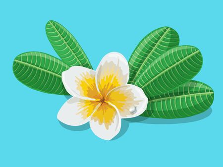Flowers frangipani with leafs on blue background. Vector illustration.のイラスト素材