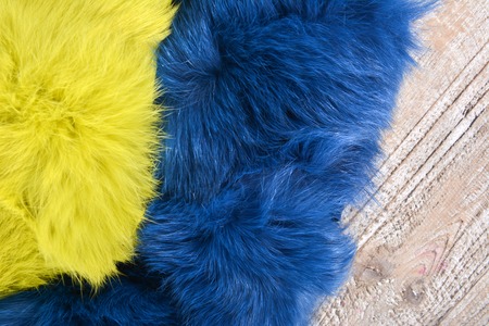 Tricolor background of natural pieces of rabbit furの写真素材