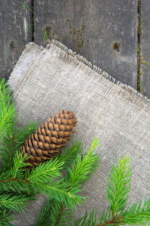 Green spruce branch with a cone on the wooden background with burlapの写真素材