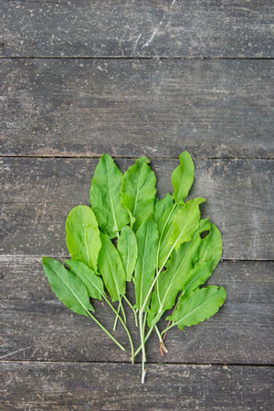 Sorrel leaves on an old wooden table. Flat lay.の写真素材