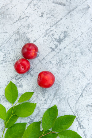 Fresh plums with leaves on the table close-up. Copy spaceの写真素材