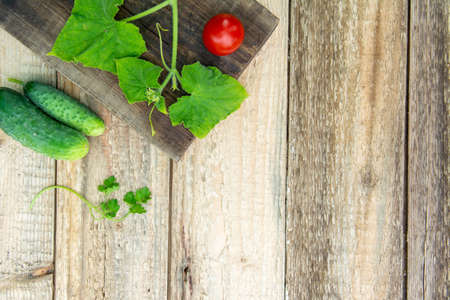 Fresh vegetables with leaves, checkered tablecloth on a wooden table. Rustic style. Copy spaceの写真素材