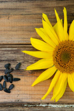 Sunflower close-up with seeds on the old wooden tableの写真素材