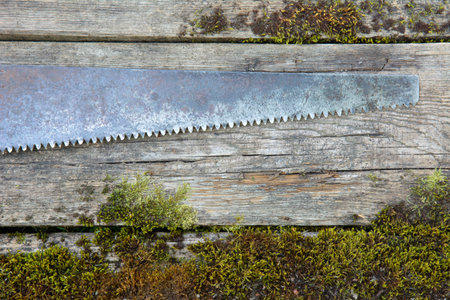 Vintage hand-made tool saw on wooden background of old planks covered with moss. Rustic style photo