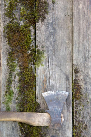Vintage axe with wooden handle on antique moss boards. Copy space background rustic style photoの写真素材