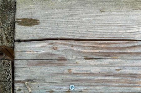 Surface background old plank box, overgrown with mossの写真素材