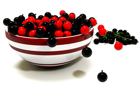 Currant on a white backgroundの写真素材
