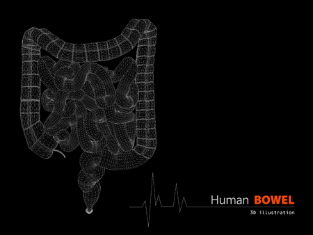 3d Illustration of Bowels abstract scientific backgroundの写真素材