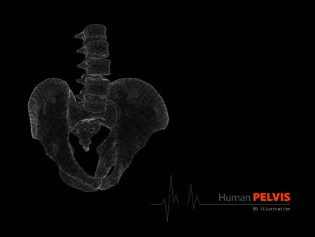 3d illustration of pelvis abstract scientific backgroundの写真素材