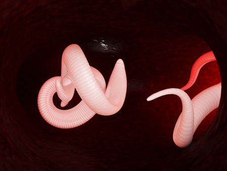 Helminth with virus and blood cells. 3d Illustration.の写真素材