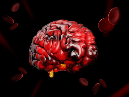 3d Illustration of model of human brain on black backgroundの写真素材