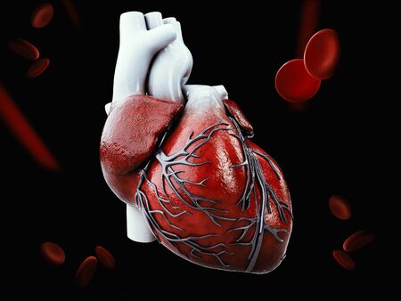 3d Illustration of Anatomy of Human Heart Isolated on black