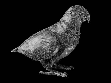 3d Illustration of parrot polygon style isolated blackの写真素材