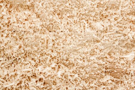 Close up view on wood shavings. Abstract backgroundの写真素材