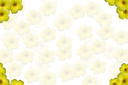 Paper is made ââup of yellow flowers の写真素材