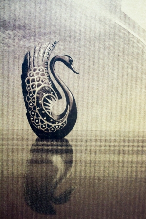 The swan drawing on rough paper の写真素材