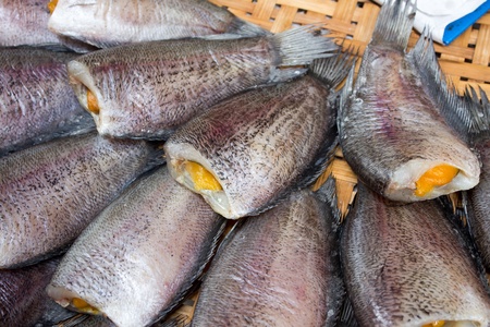 Dried fish in Thailandの写真素材