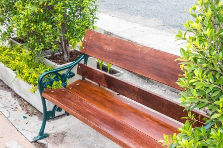 chair in parkの写真素材