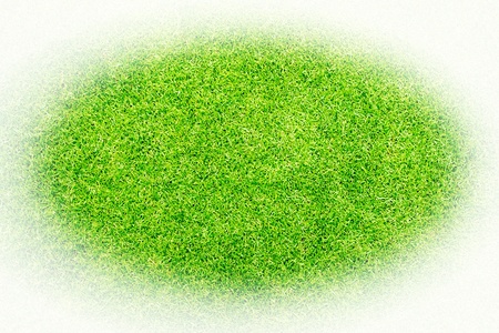 grass textureの写真素材