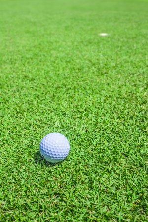 golf ball in greenの写真素材
