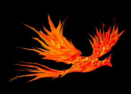 bird fire abstract の写真素材