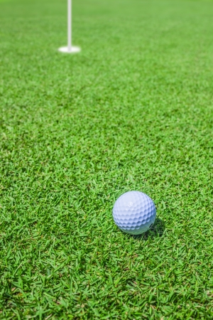 golf ball in greenの写真素材