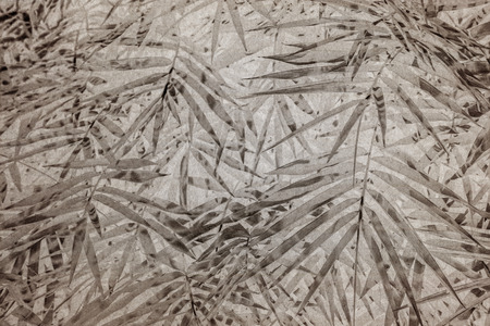 bamboo on old grunge antique paper texture 