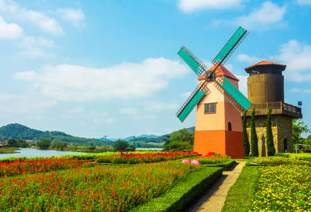 Colorful garden flowers and windmills 