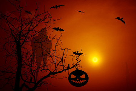 Moonlight Halloween backgroundの写真素材