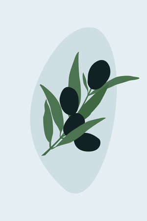 An olive branch placed against a background with abstract shapes.のイラスト素材