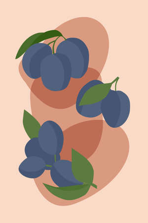 Plum berries arranged on an abstract background. Minimalist illustration for home, postcards, paper, fabrics, art.のイラスト素材