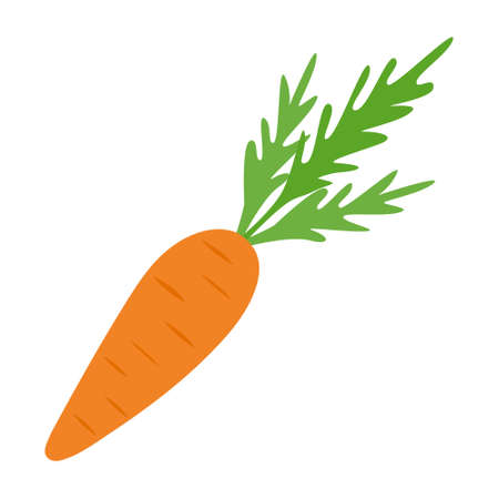 Carrots isolated on a white background in a flat style. For icons, banners, labels, signs.のイラスト素材