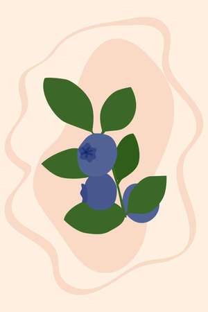 Set of berries on a beige background, minimalist illustration, art. Home decoration, postcard or...