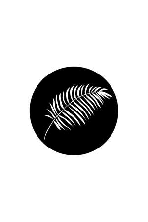 A white tropical leaf on a black circle. Geometric abstraction. Abstract interior picture, postcard, icon, cover or posterのイラスト素材
