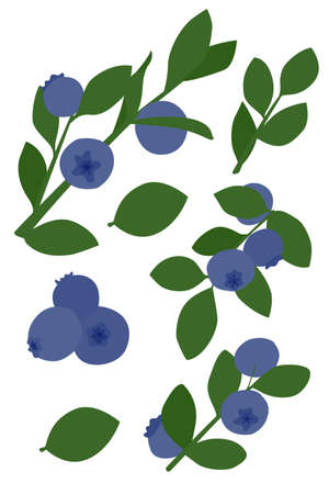 Set of berries on a beige background, minimalist illustration, art. Isolated on a white background.のイラスト素材