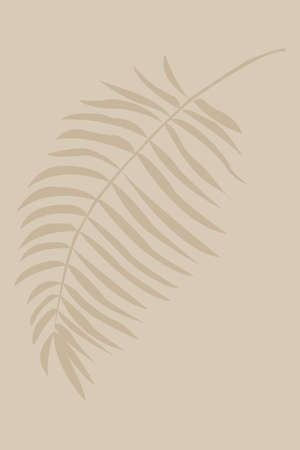 Minimalist illustration in the boho style. Tropical plants for the decoration of your home in the Japanese style.のイラスト素材