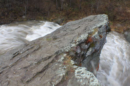 Autumn nature on Sakhalinの写真素材