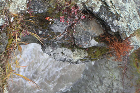 Autumn nature on Sakhalinの写真素材